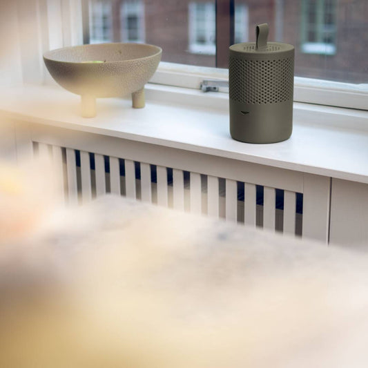 北歐熱賣 | Absodry Duo 家居吸濕劑 瑞典製造