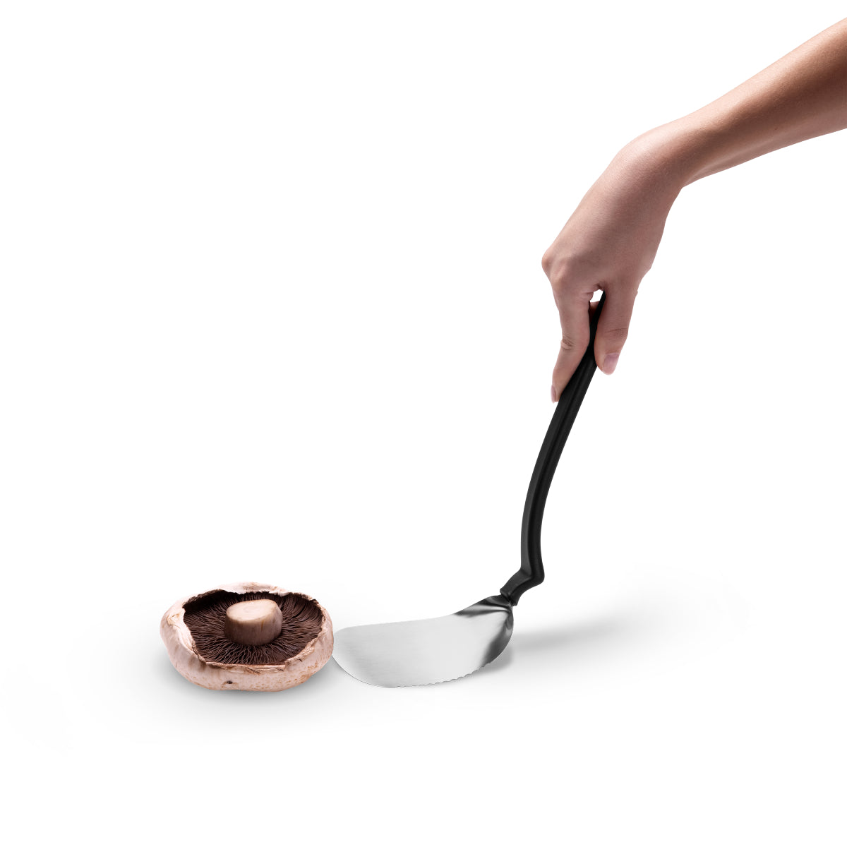 Chopula XL - Stainless Steel