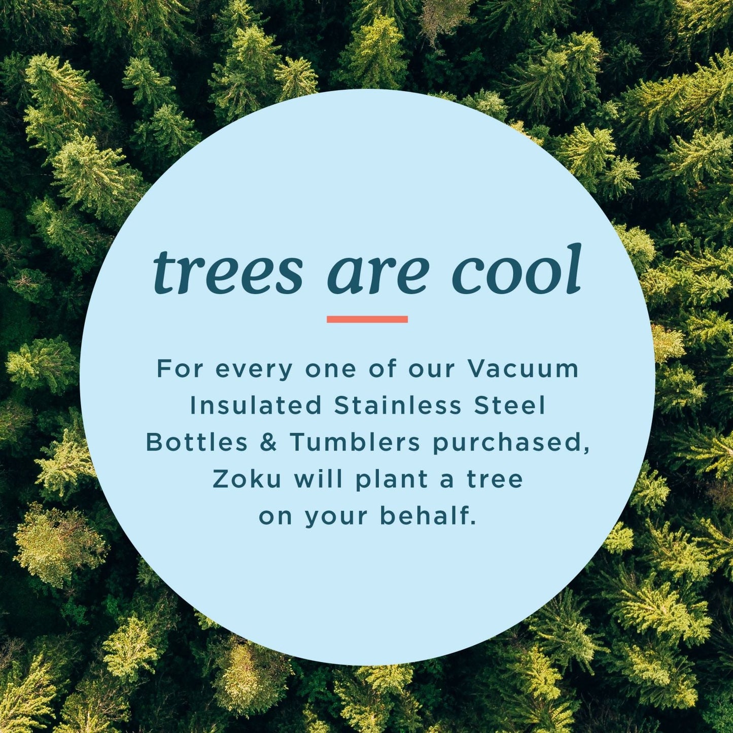 18oz Stainless Steel Powder Coated Bottle